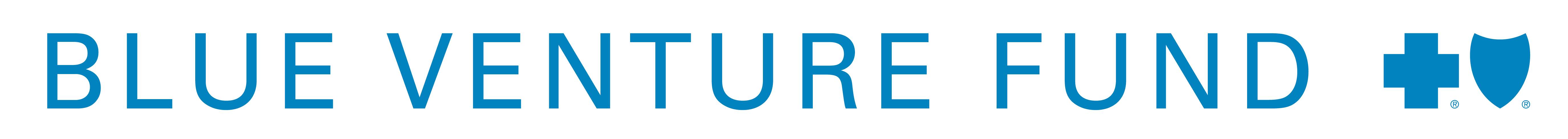 Blue Venture Fund
