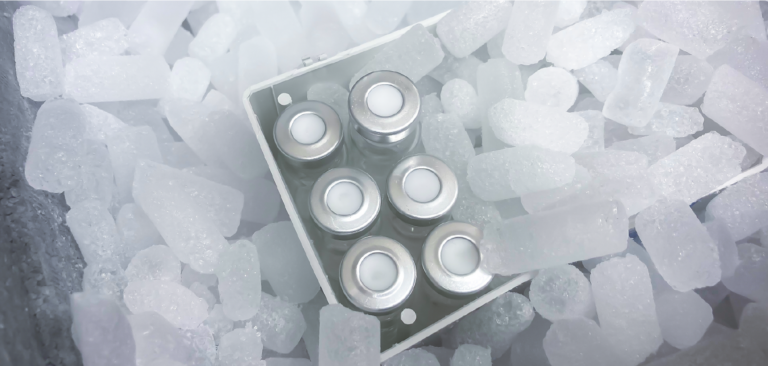 YSDS-header-image-768x366