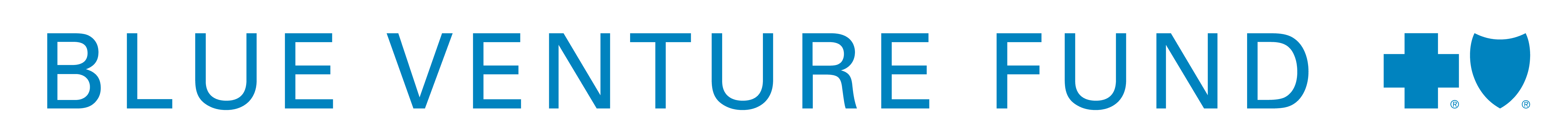 Blue Venture Fund
