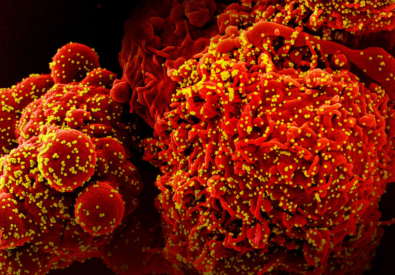 The Public Health Emergency Expiring, So What Is the Future of Covid-19 Vaccines?