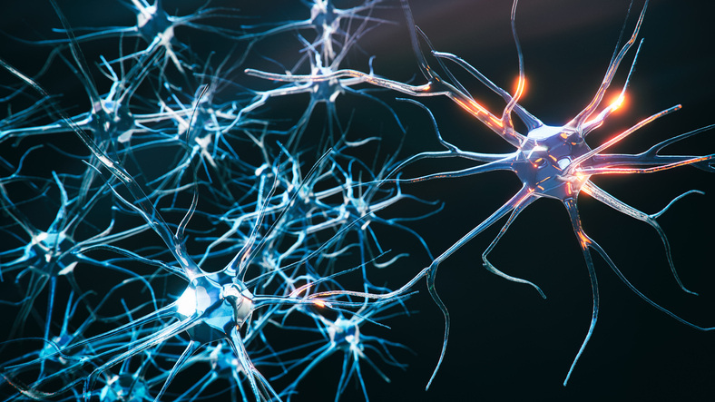 Real-World Data Salvage Biohaven Drug, Paving Way for FDA Filing in Neuro Disease With No Approved Meds