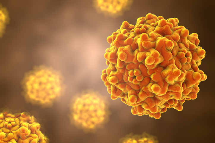 Ajinomoto Adds Gene Therapy to CDMO Scope via $554M Forge Bio Buyout