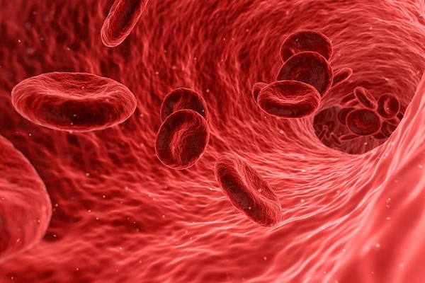 Roche Drug for Rare Blood Disorder Hits Phase 3 Goals; Regulatory Filings Are Next