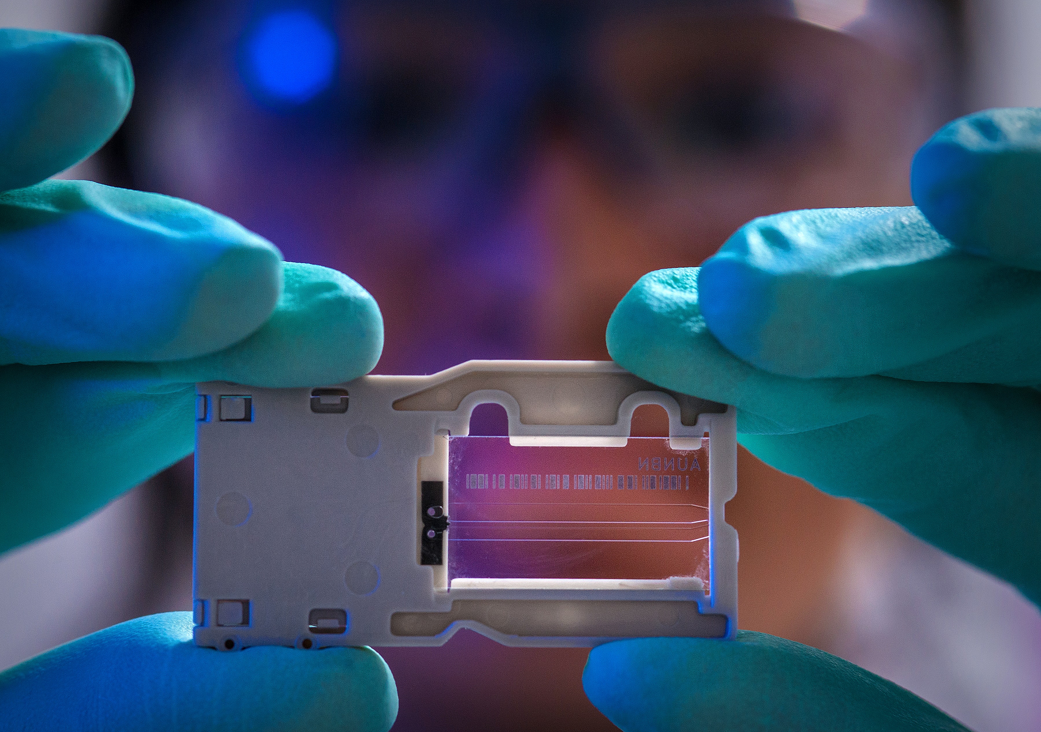 How L&D in Regulated Industries Can Move Beyond Just Compliance to Impact