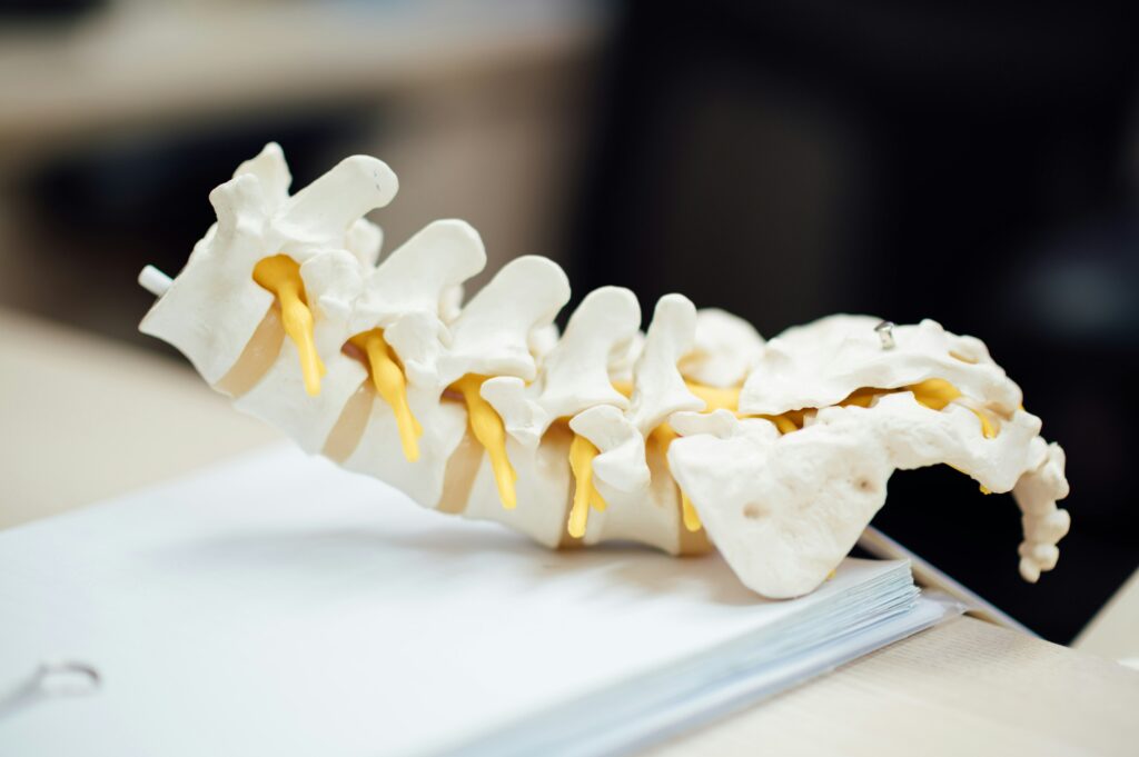 Need a Second Opinion? Here Are 5 Top-Rated Spine Surgeons in Los Angeles